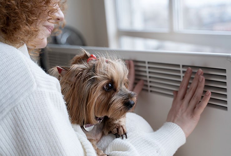 Woman and her dog enjoying their new heat pump replacement serviced by Ricks Affordable Heating & Cooling